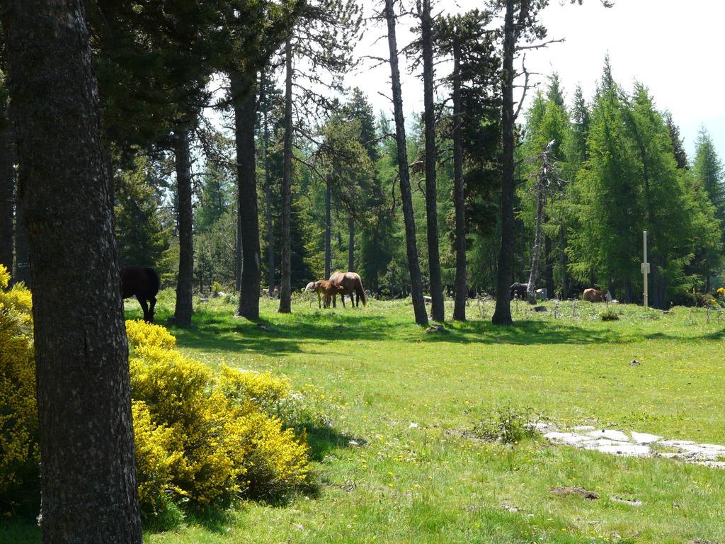 Font Romeu Via Apartment ห้อง รูปภาพ